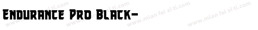 Endurance Pro Black字体转换